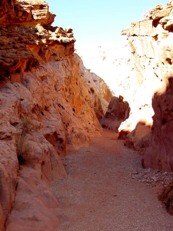 04160302LittleWildHorse (1105)